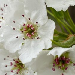 005c625a-e611-46f7-9b84-64d87e14edfb