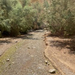 049ce5f0-dbef-4d82-80e7-d4130c74d765