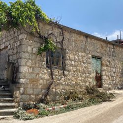 0d5029e5-11ea-4b8f-a95a-9ec9154e7efd