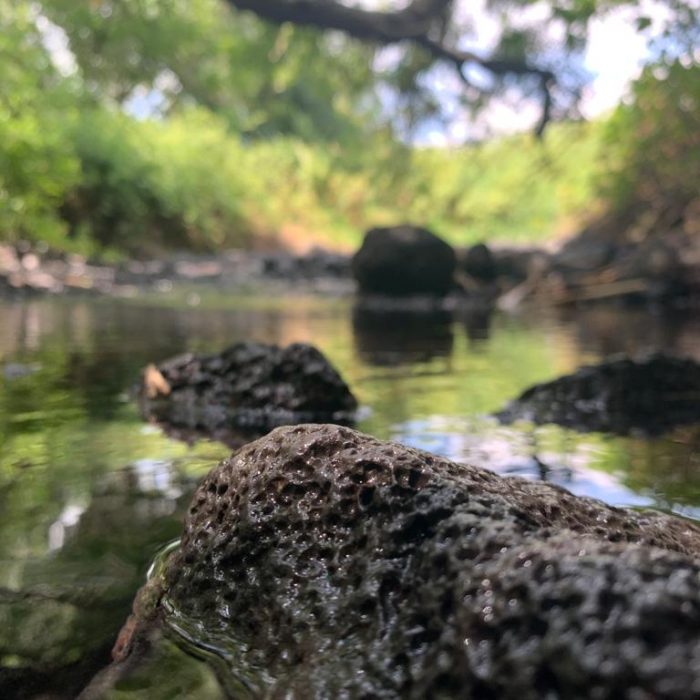 14749ddc-74bc-42b1-8fe6-ee6a3fa013d5 (1)