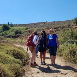 18f3c3f9-7c9a-4287-beb2-0cd0fdbb3dd7