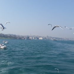20190218_110624