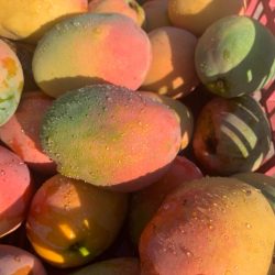 221767178_10224361429117178_9034445905046136800_n