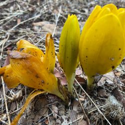 28216112-fa9b-45cf-ad85-ea27f95b22ce