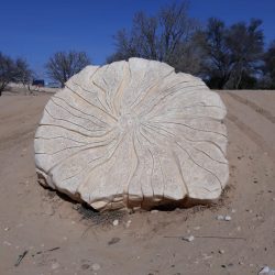 2a7c73be-4496-4716-9155-60ee957321d6