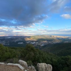 35943357-4733-4a74-b51b-abc1869f6087