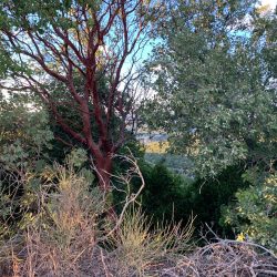 38111af6-6e87-47ce-a933-e3d1716ad5b1