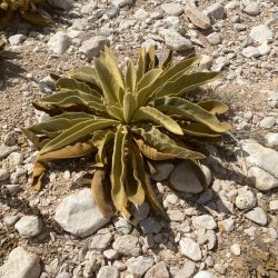 3951c1ba-bab4-4b16-9550-74831c52e844