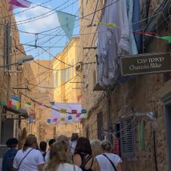 3fc4add2-528a-4c8e-8444-dc392e545ad1