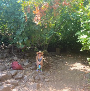 464fffba-7394-41ee-a6a9-58fe9e13dccb