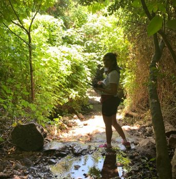 474a4814-83d4-4d4f-9974-cad3e704b620