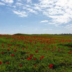 47748f30-d8a3-4362-a9d4-b249ccc811c5