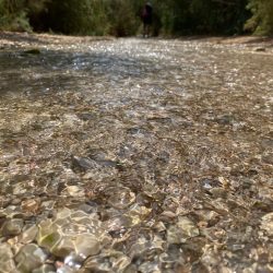 48c582e5-6eaa-4964-a6e5-872563c25f31