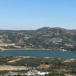 4af3533d-2d19-404f-82ea-f47a3b46ee0f