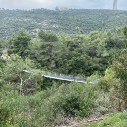 4c7fd13e-1004-4ae8-ba93-6026865b37c0