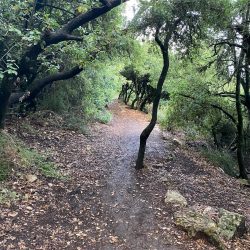 4cf096c9-3c59-467c-b55f-371879f0ca68