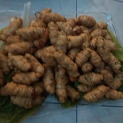 4e2c7c27-edbd-4a2b-b247-9d0576f0f620