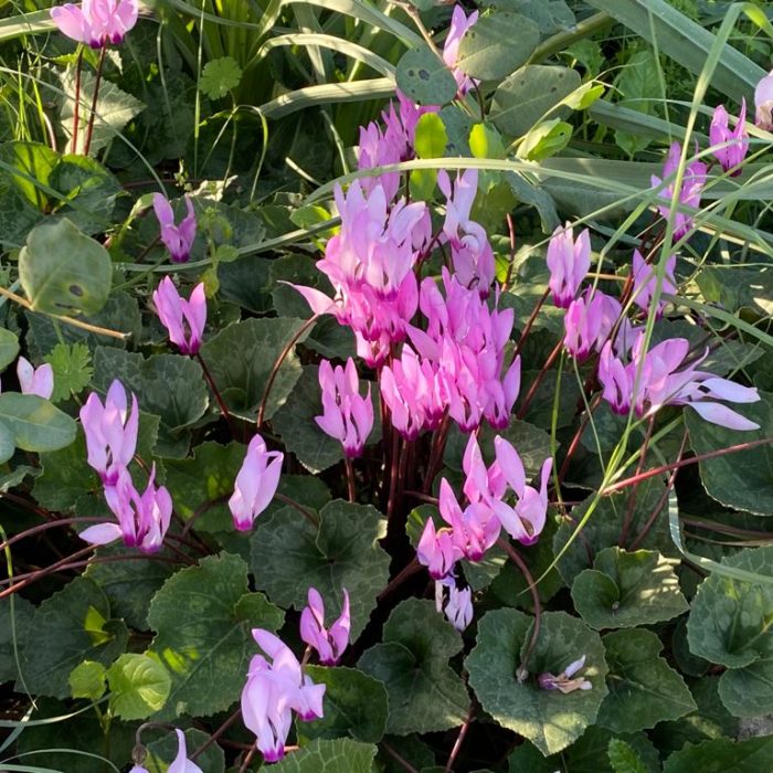 4ecaa7dd-1ea7-4780-85e9-9c05dc6052c6