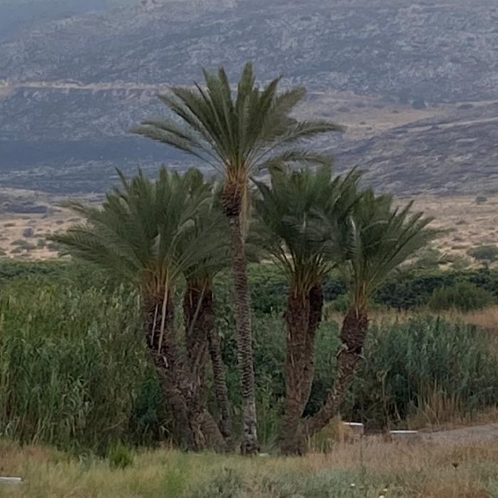 4fb7780f-27ab-4449-ab60-b38f2aaa8c2f