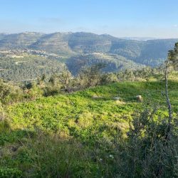 541269b5-0589-4b4c-adbd-056221e5d873