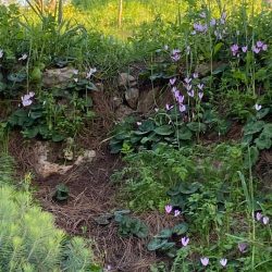 6743b31f-1606-4e8f-9ba7-7559ad336551 (1)