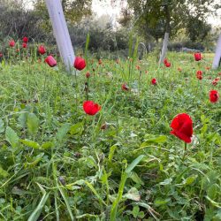 75e4c312-4cda-4c41-a71c-281b3998e8a9