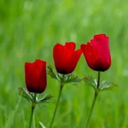 7a6ec125-4812-4e5d-a03d-1af63af4da2e