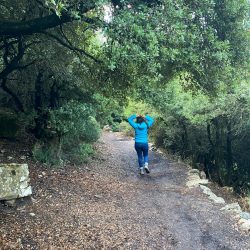 86b65911-dad6-431b-ba67-47034f63208a