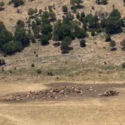 87196e38-e168-406d-b6db-7141e984ad0f