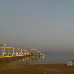 88896580-decc-4437-88de-c0ae5aecab70