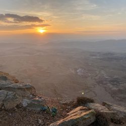 8aa262af-3f92-4126-ad09-408623e2375f