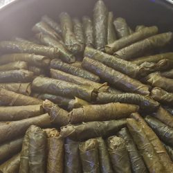 92b78724-4031-4f91-9e34-a33b9cc55c54