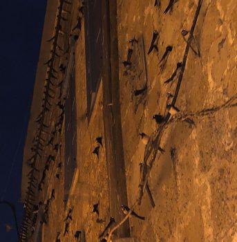 9fd8647e-bc7e-478f-92d5-64fe70cf4d02