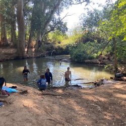 b438903f-30b8-493a-ab1f-a08c85c60b00