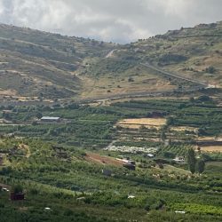 b861796e-2308-4516-bbde-d4716f6e22fd (1)