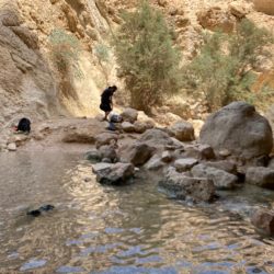 bda84fe9-4bbb-422a-95af-ae52fa907010