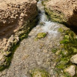 ca985869-d507-45e2-ae7c-fa19dc279924