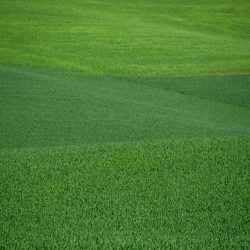 d0213720-8356-47fb-a36f-4b099c639fa0