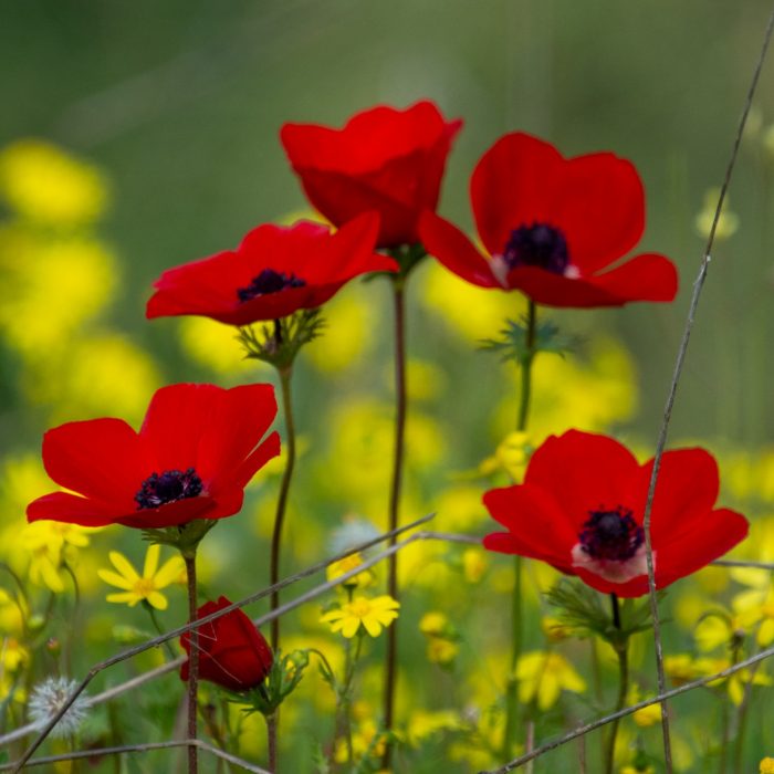 d38745e6-7375-433c-a394-ad9047ccc429