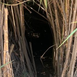 e3bc04ad-ec75-4c81-807e-98fe70f776c3