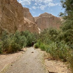 e3beba40-3dff-44a4-9d12-467da7fde799