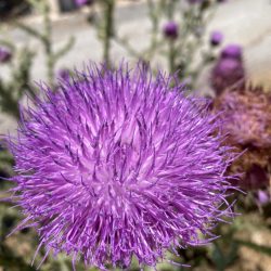 ecbe4f62-ed4b-436c-bc4d-6a28fc676dc1