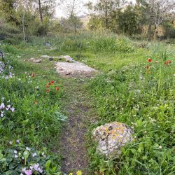 f3ddf816-8a71-4919-a209-54e9cb86da43