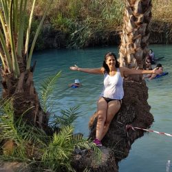 f6911682-218d-4c0e-9b39-c4582d10b0ae