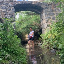 f76e9464-b1ed-49d7-a19a-32698637a20d