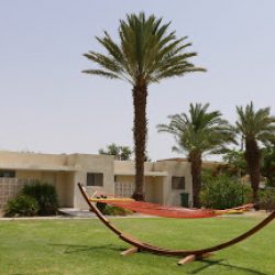 אירוח בקיבוץ צילום חנית פוגל