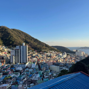 דרום קוריאה (11)