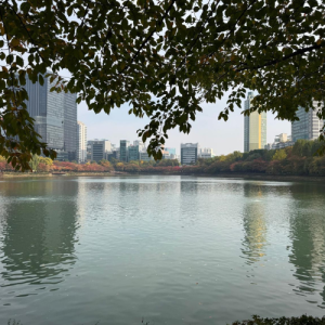 דרום קוריאה (2)