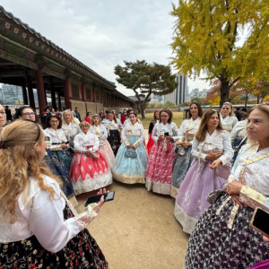 דרום קוריאה (6)