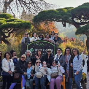 דרום קוריאה (9)